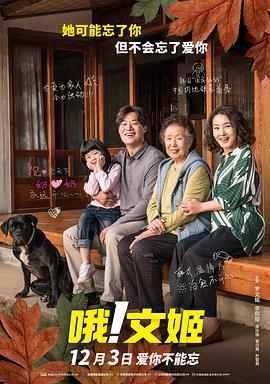 视频免费观看一区二区