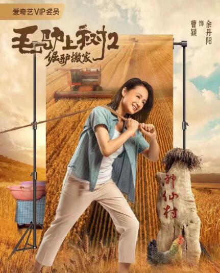 sm捆绑vk