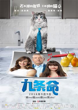 国产在线一区观看