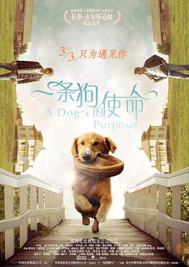 89俱乐部的服务