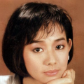 新来的女律师