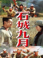 沈丘油价