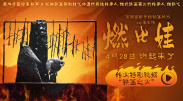 色婷婷成人网