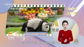 插处女小说